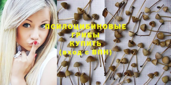 эйфоретик Алзамай