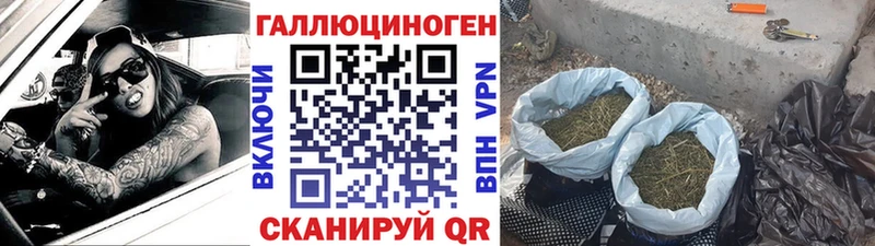 Псилоцибиновые грибы GOLDEN TEACHER  Алексеевка 
